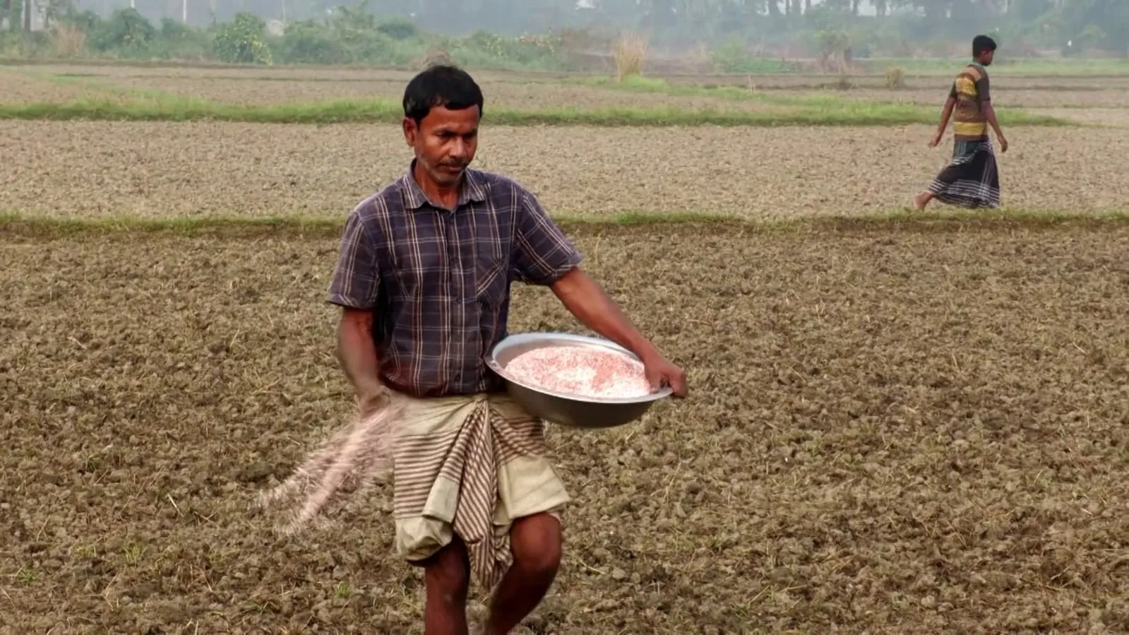 সিরাজগঞ্জে কৃত্রিম সংকট দেখিয়ে বাড়তি দামে সার বিক্রির অভিযোগ