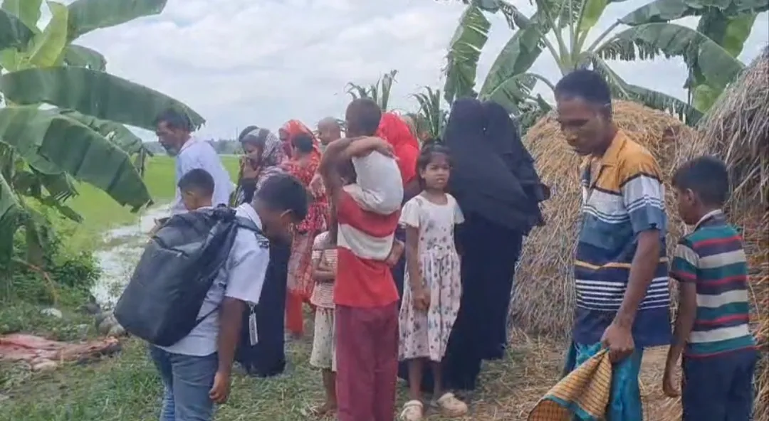 টাঙ্গাইলে ১০টি ঘোড়া জবাই, ৭টির মাংস নিয়ে পালাল দুর্বৃত্তরা